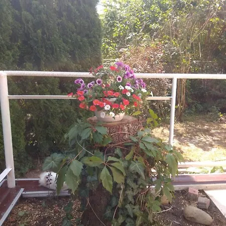 едельвейс Appartement Morshyn