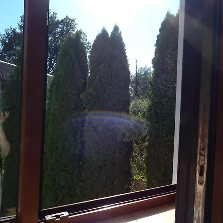 едельвейс * Morshyn