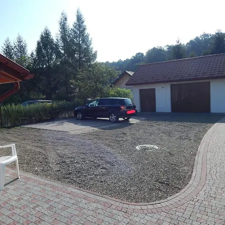 едельвейс *