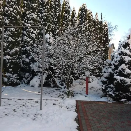 едельвейс * Morshyn