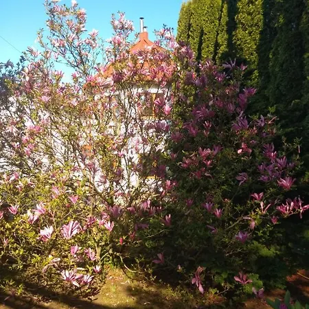 Appartement едельвейс