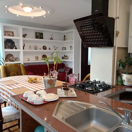 Appartement едельвейс Morshyn