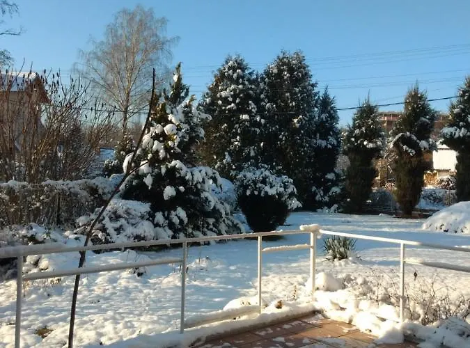 едельвейс 公寓
