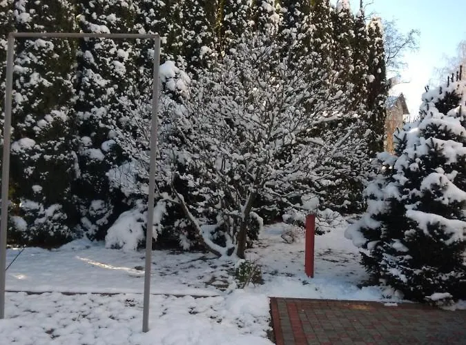 едельвейс * 莫申