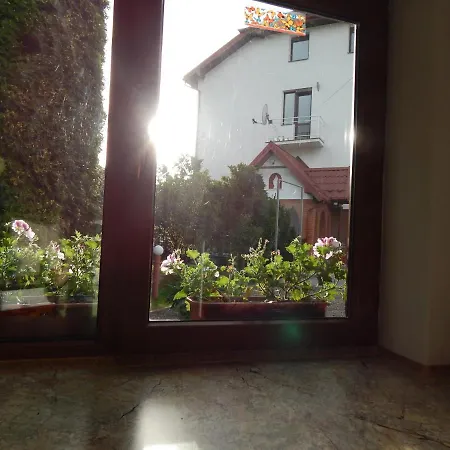 едельвейс * Moršyn