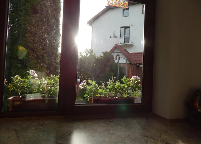 едельвейс * Morshyn